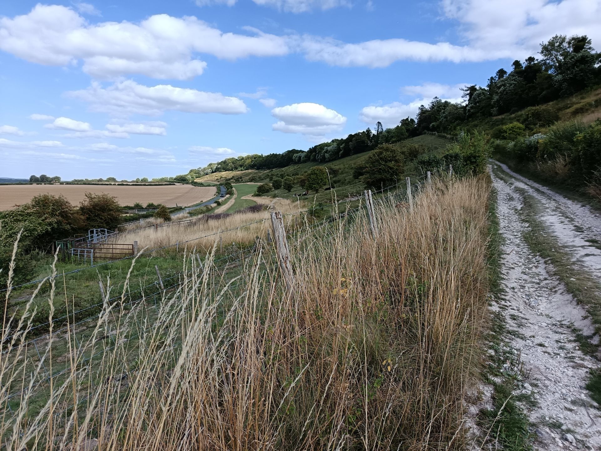 Track to crest of downs 